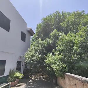 https://la-casa-del-almcigo.in-canary-islands.com